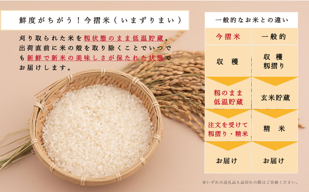 【新米先行予約】令和6年産　籾貯蔵今摺米 精米 きたくりん 11kg 北海道米 北海道 米【A-021】