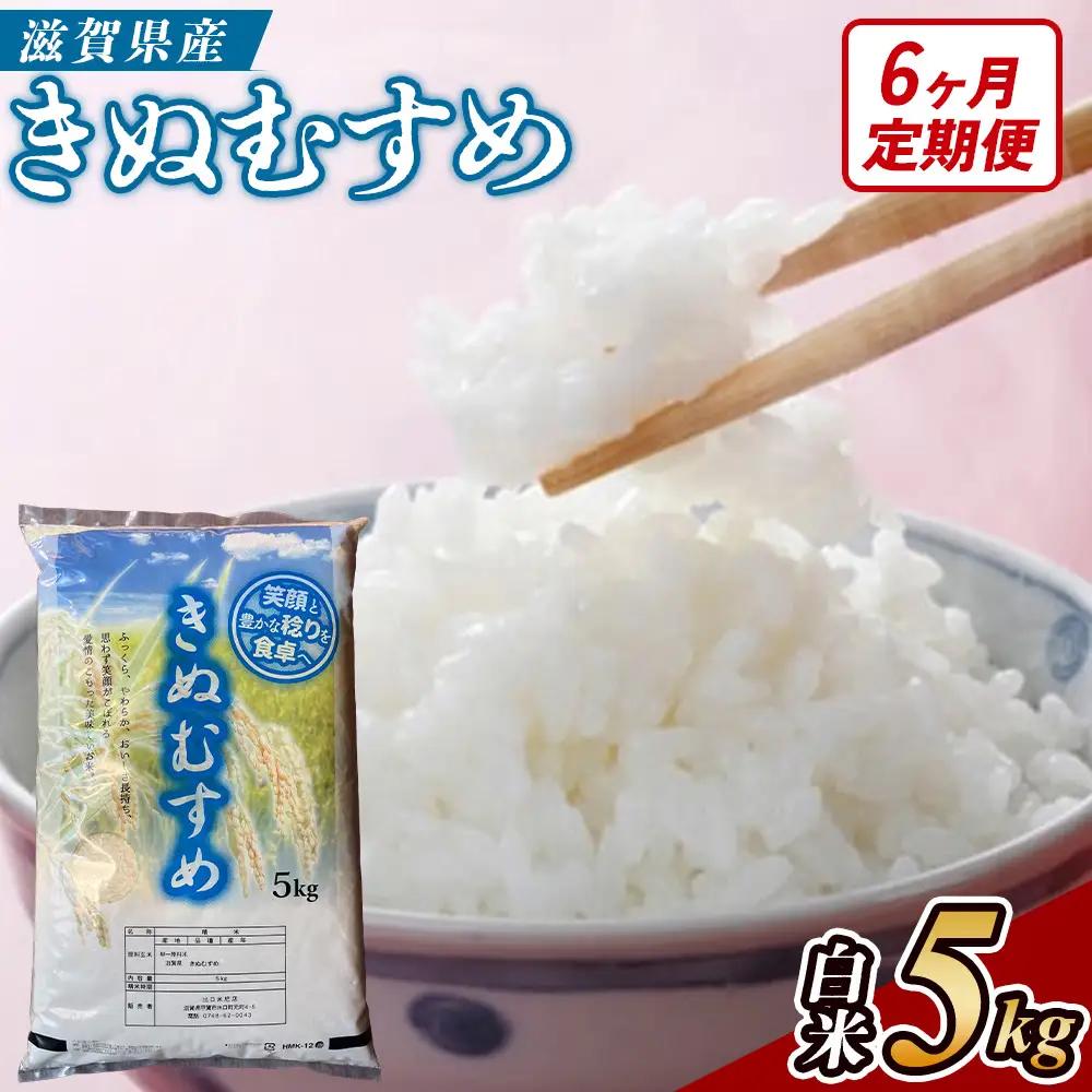 【6ヶ月定期便】【令和7年産】近江米きぬむすめ白米5kg