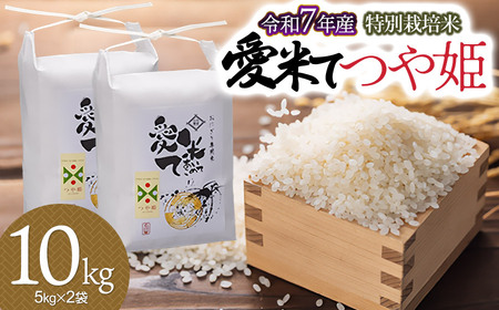 【令和7年産】特別栽培米 つや姫　10kg（5kg×2袋）　山形県鶴岡市産　愛米て