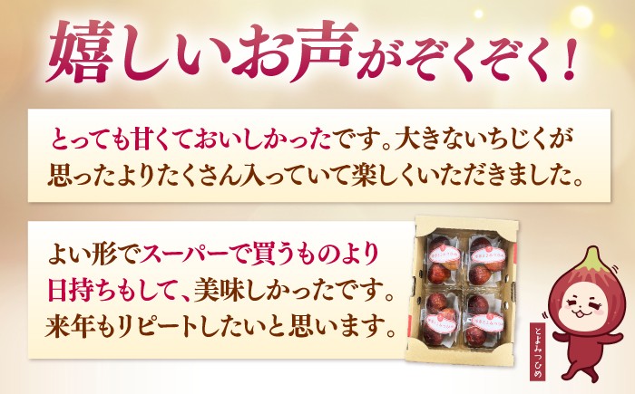 いちじく とよみつひめ 秀品 1.2kg イチジク 無花果 300g×4パック 