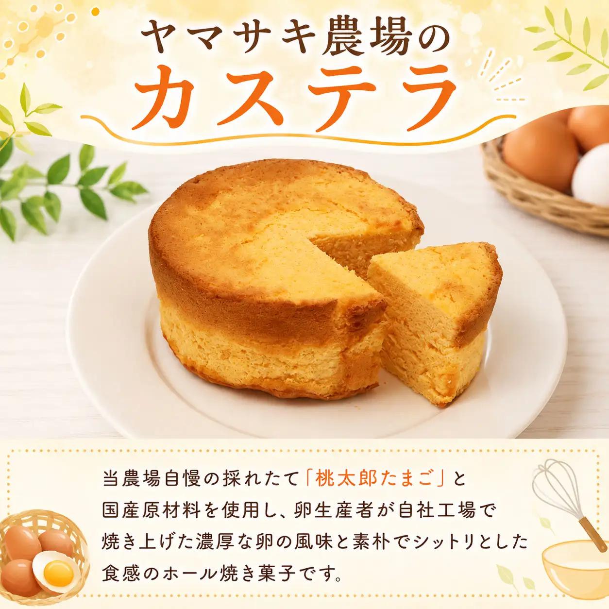 【焼き菓子】 ホール 2種 C セット お菓子 カステラ