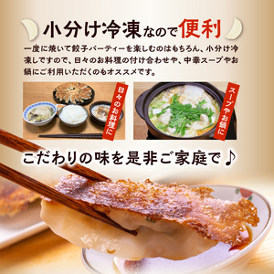 バラエティー餃子4袋セット_好き嫌いのない方におススメ バラエティー餃子 真心餃子 食べ比べ 4袋セット 青じそ にんにく鶏なんこつ 生姜 にら 4種類 餃子のまごころ本舗 福岡県 久留米市 お取り寄
