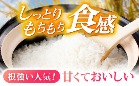 循環農法米 ヒノヒカリ白米 10kg / 米 こめ コメ おこめ お米 白米 ひのひかり / 諫早市 / 株式会社土井農場[AHAD095]