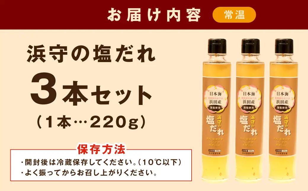 浜守の塩だれ　3本セット 【210_0001】