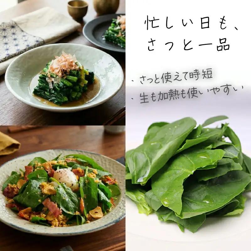 サラダほうれん草 サラダセット | ほうれんそう 水耕 栽培 新鮮 葉物 野菜 ドレッシング 南国市