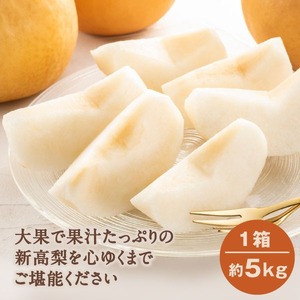 YN-03 鳥取県産和ナシ　新高梨5kg