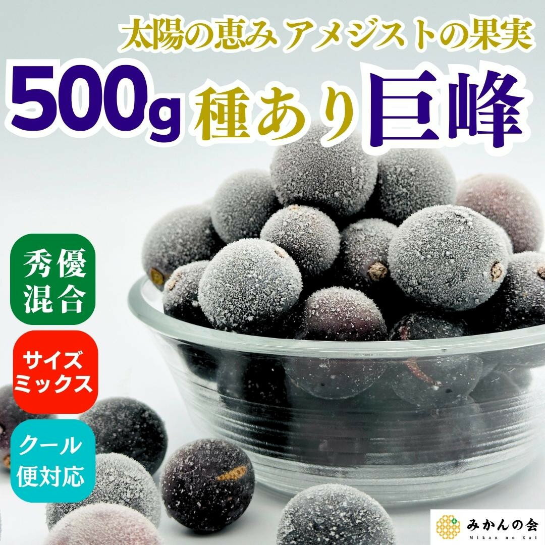 【ふるさと納税】【選べる容量】冷凍 種あり 巨峰 約500g or 約1kg 秀優混合 サイズミックス 和歌山県産 産地直送 ぶどう クール便 【みかんの会】 | 巨峰 葡萄 冷凍 種あり 果物 フルーツ プ 美味しい くだもの 食品 人気 おすすめ 送料無料