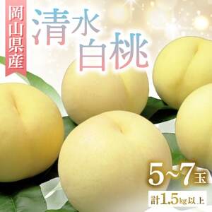 ◆先行受付◆　岡山県産　清水白桃5～7玉　2026年発送【配送不可地域：離島・北海道・沖縄県】【1349770】