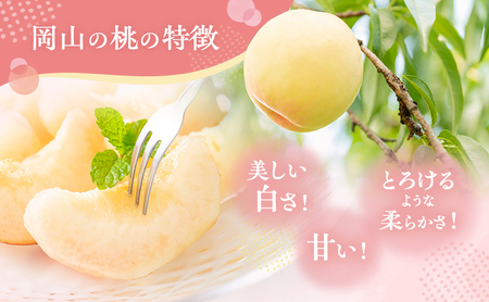 桃 2025年 先行予約 清水 白桃 約2kg 5～7玉 贈答用 もも モモ フルーツ 果物 岡山 赤磐市産 農マル園芸 あかいわ農園 白鳳 
