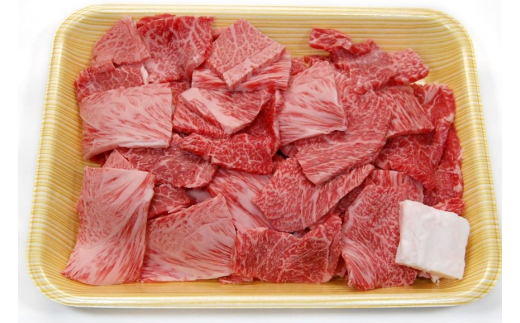 飛騨市産 5等級飛騨牛 盛り合わせパック ごちゃまぜ ミックス 500g ギフト 贈答用