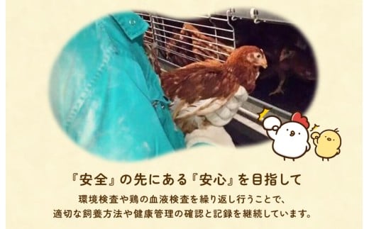 【定期便3回】九十九里ファームこだわりたまご贈答用30個～あおい海・みどりの里～《赤玉》 ／ たまご 卵 玉子 タマゴ 生卵 卵かけご飯 鶏卵 30個 定期便 3回 赤玉　30個×3回