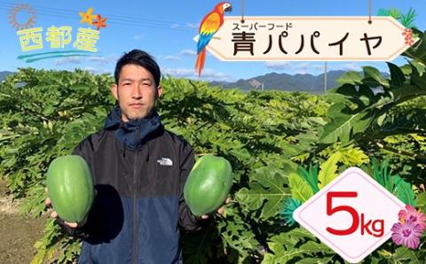 【先行予約】西都市産『青パパイヤ』5kg（4～7個）＜1-234＞西都市 果物 フルーツ