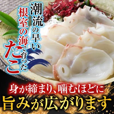 ふるさと納税 根室市 【北海道根室産】たこ足800g前後〜1.4kg前後×1本 A-76028 |  | 01
