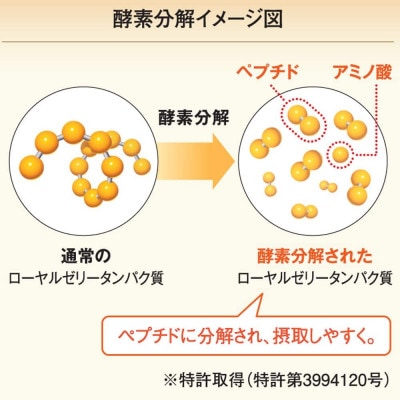 酵素分解ローヤルゼリーキング (560)【1152893】