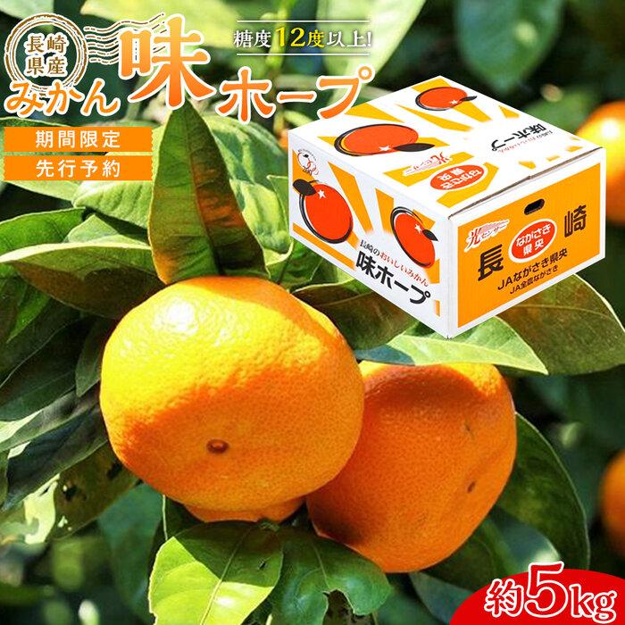【ふるさと納税】【糖度12度以上！】長崎県産 みかん 味ホープ 約5kg＜期間限定／先行予約＞【2025年11月中旬以降順次発送】 | 5キロ フルーツ 果物 先行受付 長崎 九州 送料無料 人気 おすすめ 特産品 数量限定 ブランドみかん 極早生みかん 早生みかん 温州みかん