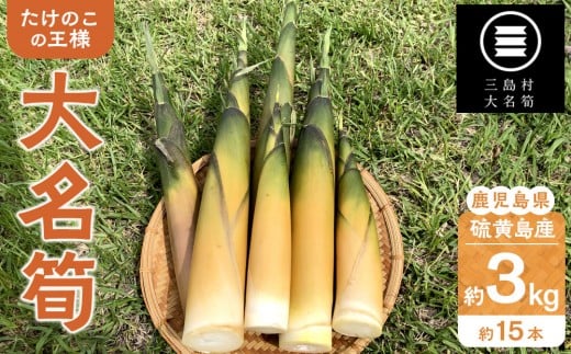 【2025年お届け】大名筍 3kg ( 約15本 ) ( 硫黄島産 )