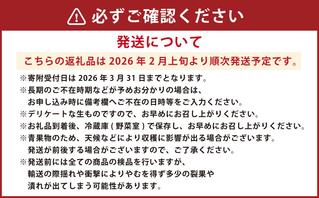 にべさんちの苺 熊本県産イチゴプレミアム桃薫(とうくん) 
