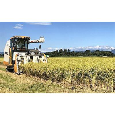 ふるさと納税 胎内市 【毎月定期便】【12ヶ月連続お届け】新潟県胎内市産コシヒカリ10kg(5kg×2袋)全12回 |  | 01