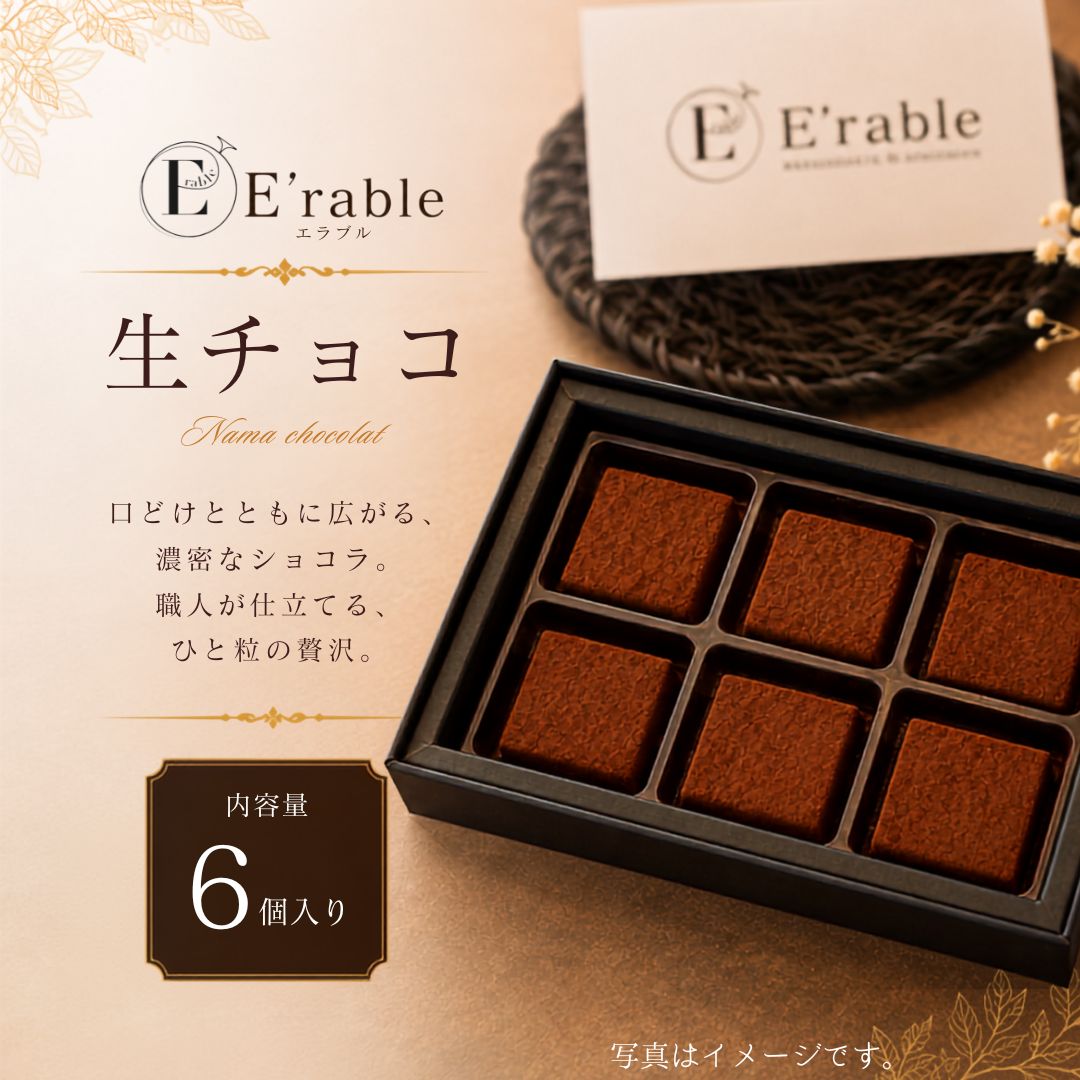 【ふるさと納税】 生チョコ 6個入り チョコ チョコレート ショコラ スイーツ バレンタイン ホワイトデー ギフト 贈答 プレゼント スイーツ 洋菓子 おやつ ご褒美 お取り寄せ 石川県 小松市 エラブル gf005n00 【E'rable ショコラトリー パティスリー】