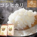 【ふるさと納税】【復興支援】田の神様米(コシヒカリ)3kg×2袋 | 石川県 能登町 石川 能登 石川県能登町 ふるさと 納税 支援 支援品 返礼 食べ物 取り寄せ お取り寄せ ご当地 ご当地グルメ お米 米 白米 国産米 ご飯 特産品 名産 特産 名産品 こしひかり