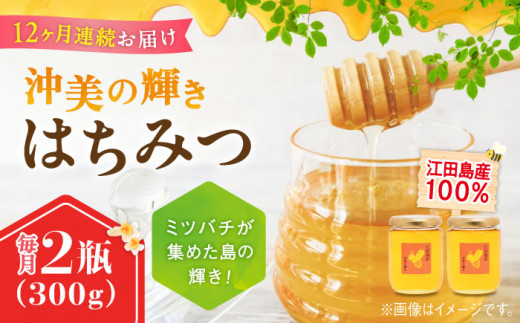 【全12回定期便】江田島産100％ はちみつ 『沖美の輝き』300g×2本 ハチミツ ハニー 蜂蜜 国産 広島 江田島市/はつはな果蜂園 [XCD026] ハチミツ 国産蜂蜜 国産はちみつ 国産純粋はちみつ 蜜 蜂蜜 はちみつ ハニー honey 人気ハチミツ 日本蜜蜂 純粋はちみつ 常温 保存 備蓄 防災食 非常食 保存食 産地直送 国産 定期便