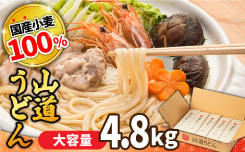 【1月以降順次発送】島原 手延べうどん 山道うどん 国産小麦100％ 160g×30袋 4.8kg / 島原手延べ うどん ウドン 饂飩 乾麺 麺 年内配送 年内発送 / 南島原市/ そうめんの山道 [SDC011]