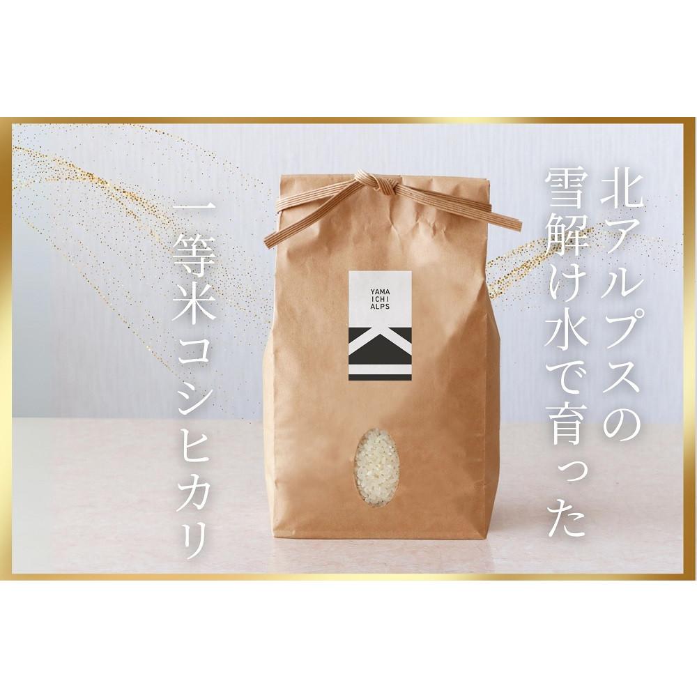 【ふるさと納税】北アルプスの雪解け水で育った一等米コシヒカリ　5KG／10KG／30KG／【定期便】5KG×3回 | 新米 産地直送 人気 おすすめ コシヒカリ 白米 低農薬 ふっくら 甘み ご飯 和食 ギフト 贈答用 保存しやすい 送料無料 長野県 大町市 ふるさと納税