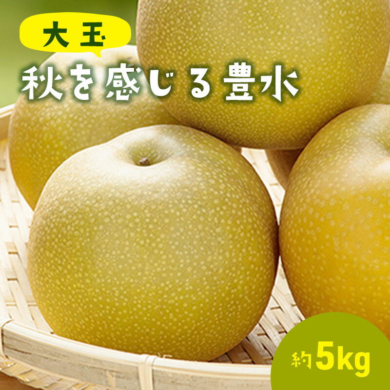 【ふるさと納税】大玉！秋を感じる 豊水梨（5kg） 果物 フルーツ 　お届け：2025年8月下旬～9月中旬