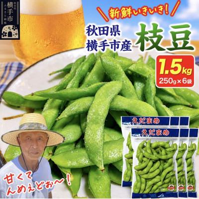 ふるさと納税 横手市 つくり手の顔が見える、新鮮枝豆 1.5kg(250g×6袋)秋田県横手市産