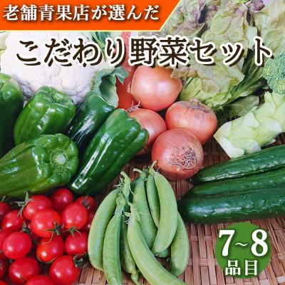 ふるさと納税 時津町 野菜のプロ40年が届けるこだわり野菜セット 7〜8品目 詰め合わせ