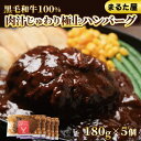 【ふるさと納税】 ハンバーグ 国産 黒毛 和牛 100% 180g × 5個 900g 小分け 真空パック 冷凍 まるた屋 下関 山口 肉特集