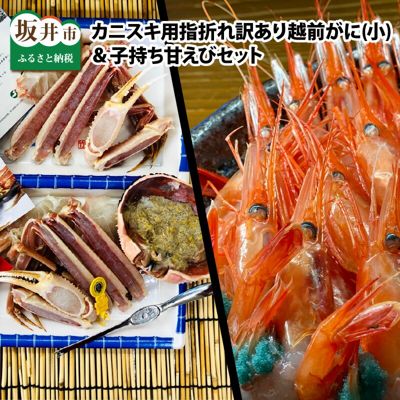 【ふるさと納税】【先行予約】カニスキ用指折れ訳あり越前ガニ（小1杯）と子持ち甘えび（500g）セット※12月発送不可【2025年11月～2026年3月発送】【越前がに ズワイガニ 鍋 エビ 海老 傷 足折れ 国産 県産】