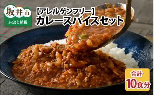 ハーブ講師が作る 教室で人気のカレースパイスセット （5食分 × 2箱） 【アレルゲンフリー】 【スパイス スパイスカレー スパイスセット カレーパウダー おうちカレー カレー粉 香辛料 セット 手作り キット 薬膳カレー スープカレー ギフト】 [A-13004]