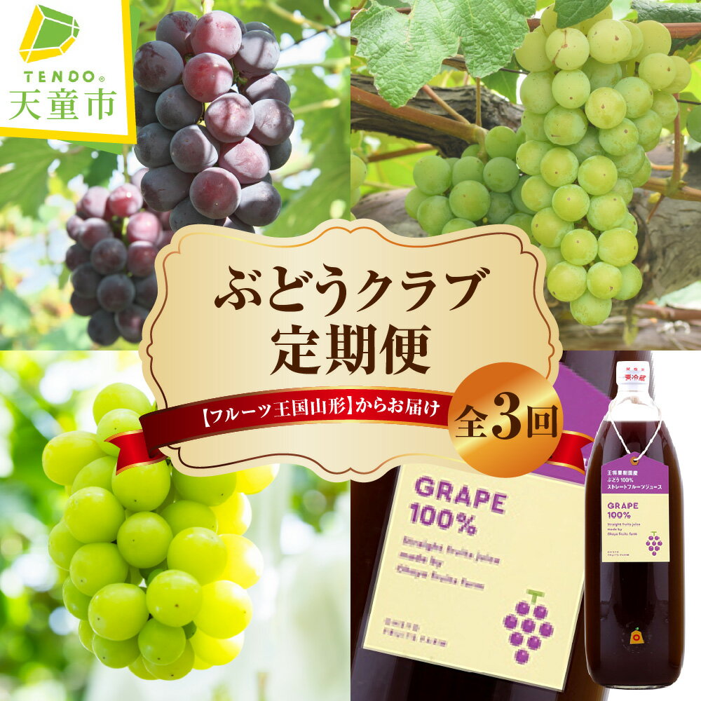 【ふるさと納税】 ぶどう クラブ ( 定期便 ) 令和8年産 先行予約 2026年 葡萄 ブドウ 果物 くだもの フルーツ 山形 お取り寄せ 産地直送 送料無料【 山形県 天童市 】