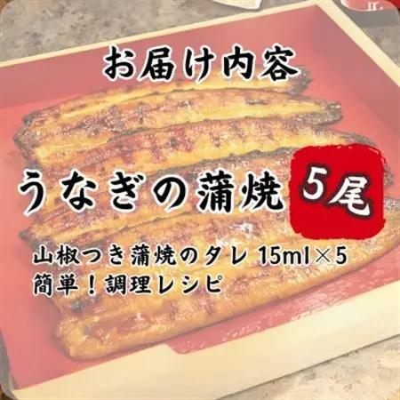 特撰浜名湖うなぎ蒲焼140g×5尾_魚介・海産物 うなぎ  ウナギ 鰻_【配送不可地域：離島】【1497502】