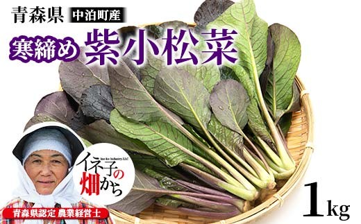 
            寒締め紫小松菜 約1kg 【イネ子の畑から】 新鮮 産地直送 サラダ おひたし おみそしる 旬 野菜 やさい こまつな F6N-285
          