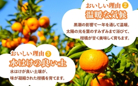 ＜1月より発送＞厳選 柑橘詰合せ2.5kg+250g（傷み補償分）◇【有田の春みかん詰め合わせ・フルーツ詰め合せ・オレンジつめあわせ】【光センサー選別】 ※北海道・沖縄・離島への配送不可 ※2026年