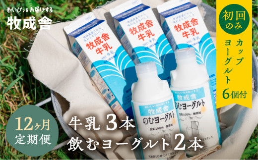 飛騨産生乳100%で作る低温殺菌牛乳&無添加飲むヨーグルト12か月定期お届け