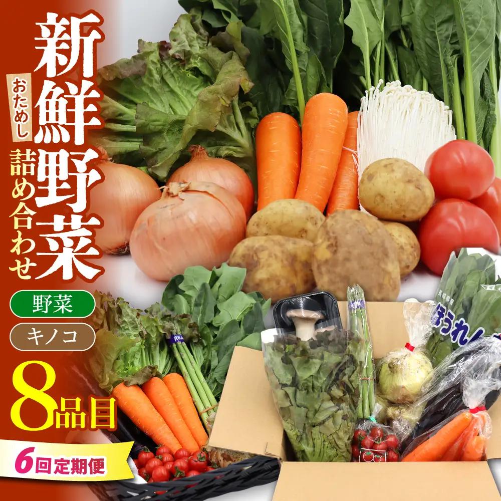 【6回定期便】野菜定期便 8品目 [SCZ029]
