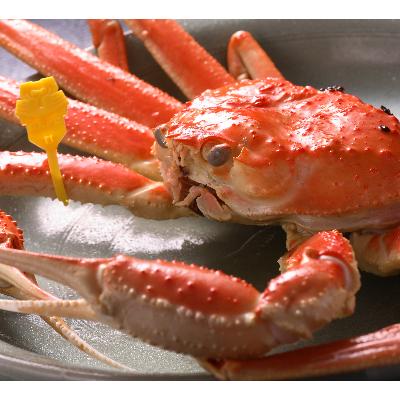 ふるさと納税 鯖江市 【11月6日漁解禁】福井冬の味覚!越前がに　 900-1,000g × 2杯 |  | 01