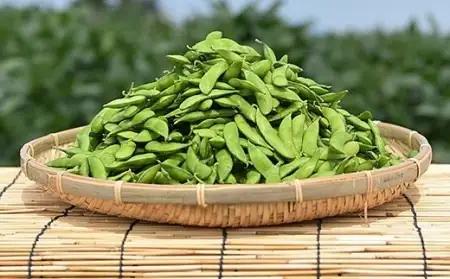 75E-22新潟県長岡産枝豆1.0kg【雪音250g×4袋入り】