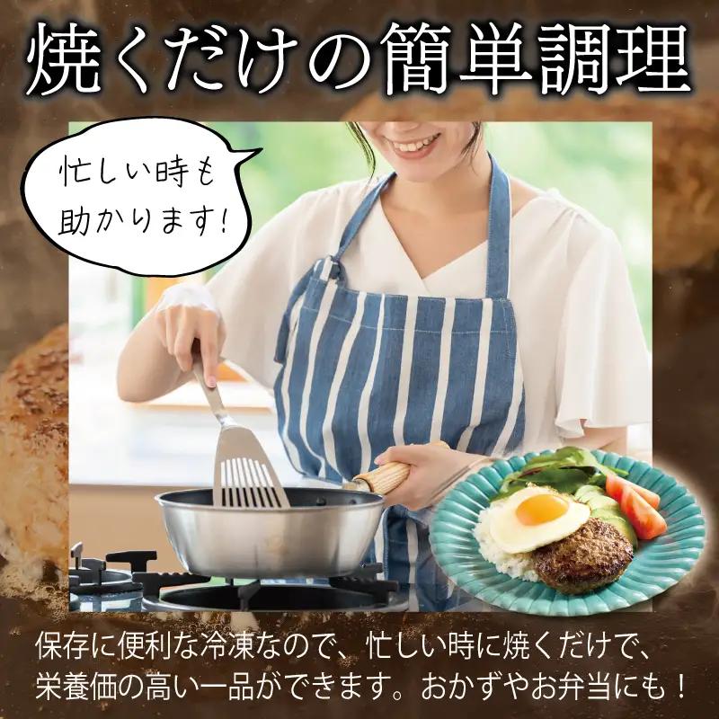 【定期便】 桜文 馬肉ハンバーグ 120ｇ×10個 全3回 【毎月配送コース】