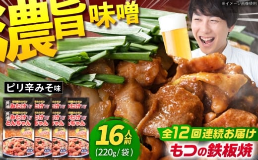 【12回定期便】岐阜県産豚もつの鉄板焼き「元祖みたけとんちゃん」ピリ辛みそ味 8袋（16人前） / モツ もつ 白もつ ホルモン / 御嵩町 / 藤よし [AVAA078]