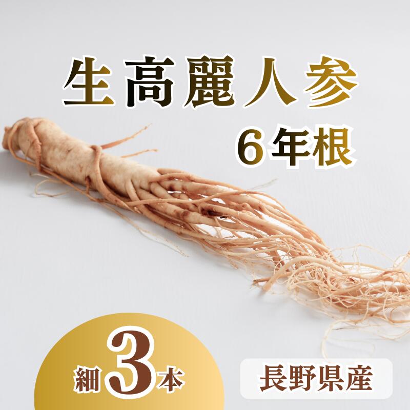 【ふるさと納税】生高麗人参 6年根 細 3本 高麗人参 生 六年生 健康食品 健康 疲労回復 血行 改善 食品 美容 特産 薬膳 高麗人参酒 人参 調理 長野 信州