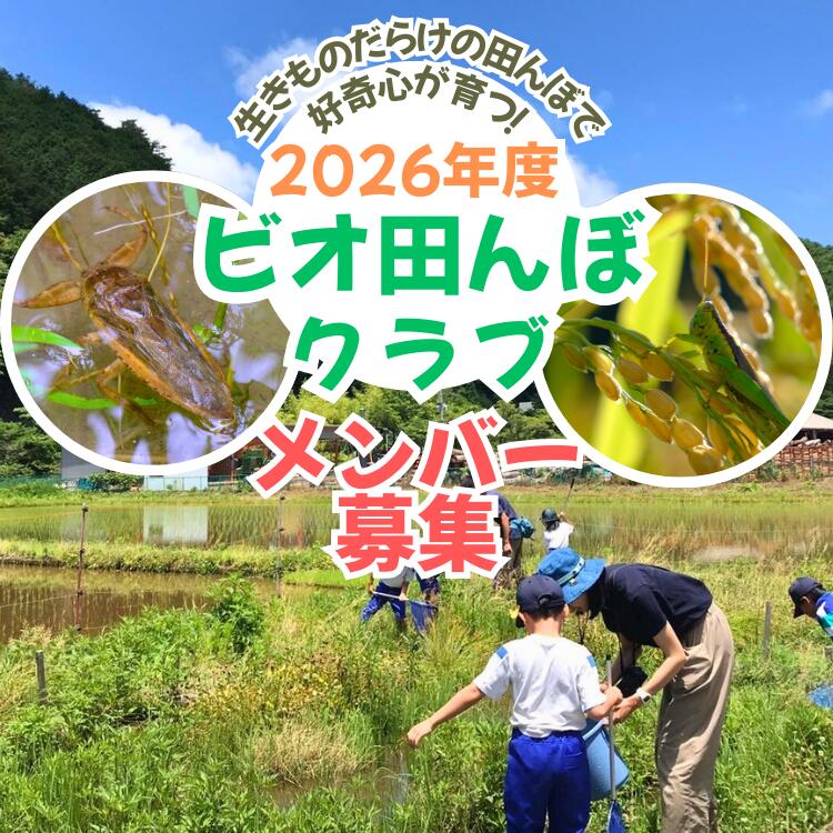 【ふるさと納税】ビオ田んぼクラブ 年会費 ビオトープ 田んぼ 田植え 生き物 観察 稲刈り 米 収穫 羽釜 里山 日本酒 自然 体験 A-cz-A04A