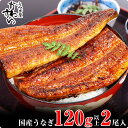 国産うなぎ蒲焼2本セット 120～149g