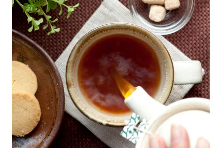 信州名産｜えんめい茶2箱 健康茶の元祖 大自然に芽生える５種類の山野草からつくられる70余年のロングセラー【長野県信濃町ふるさと納税 黒姫和漢薬研究所】