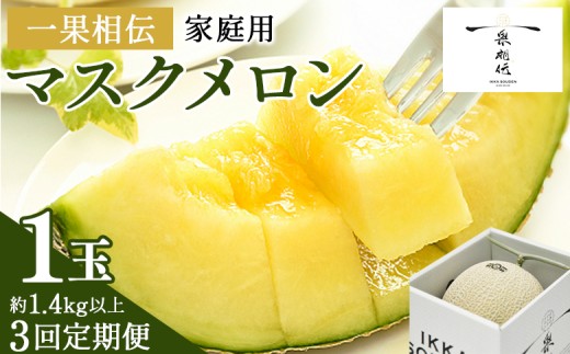 【３回定期便】一果相伝マスクメロン 家庭用 1玉入り- めろん 青肉 自宅用 ジューシー 果汁 至福 美味しい 甘い あまい 篤農 産地直送 高知県 香南市 常温 Wtn-0038