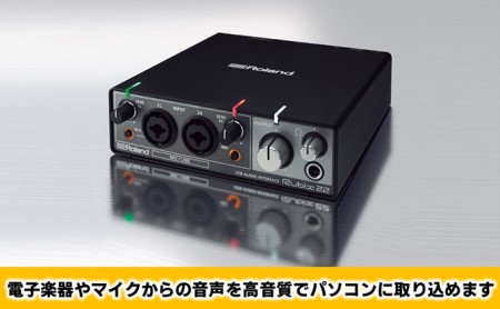 【Roland】USBオーディオインターフェース/RUBIX22【配送不可：離島】 携帯 携帯アクセサリー OA機器 タブレット PC 音響機器 
