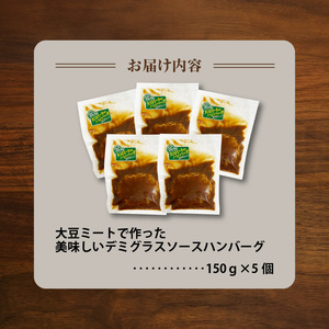 大豆ミートで作った美味しいデミグラスソースハンバーグ 150g×5個_KP8306